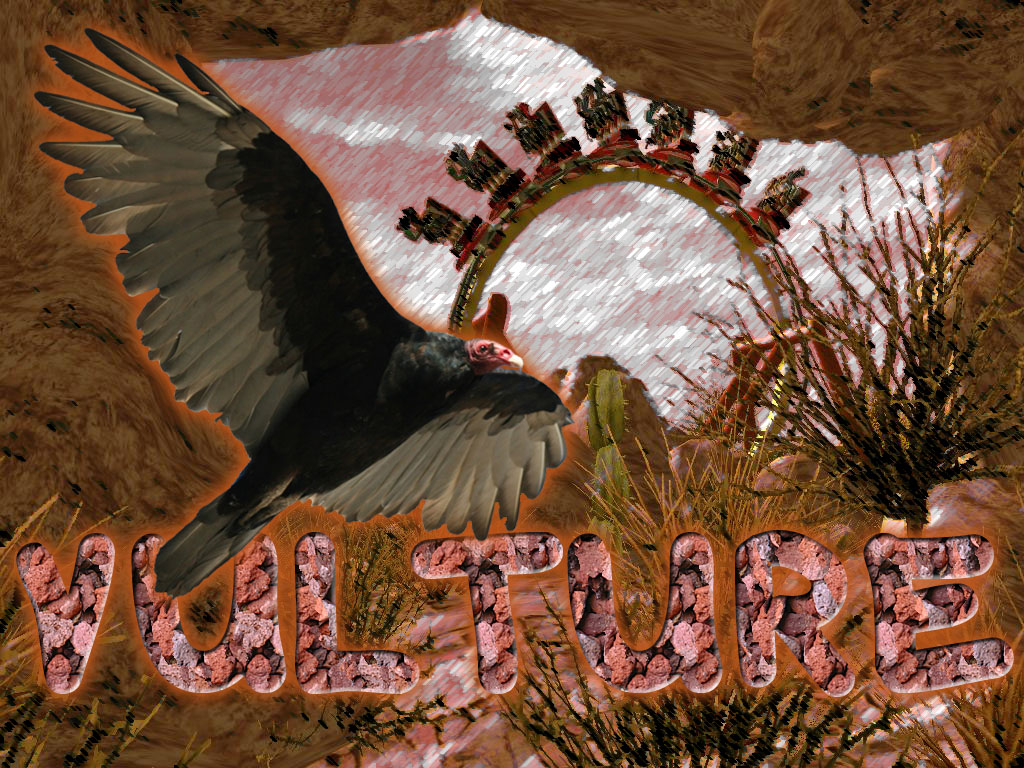 Vulture